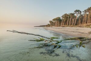 Weststrand Darss 450