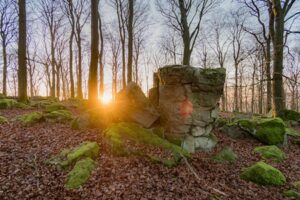 malberg westerwald 1 450