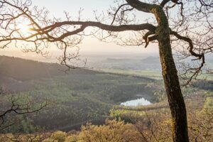 Krufter Waldsee Teufelskanzlei 450