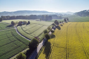 Tecklenburger Band Lienen 450