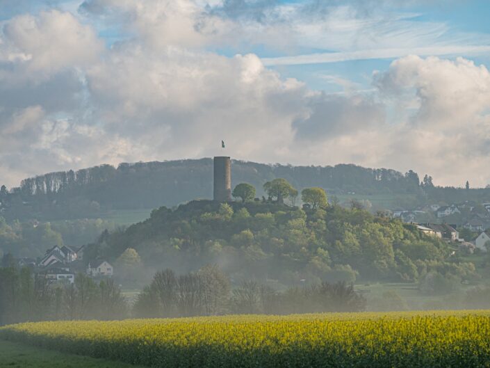 19 Burgruine Hartenfels 4 3