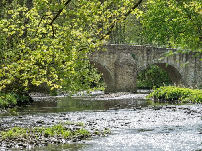 25 Alte Nisterbrücke3