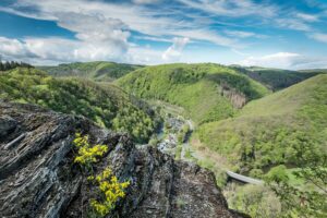 6 Weissenfelserley 1