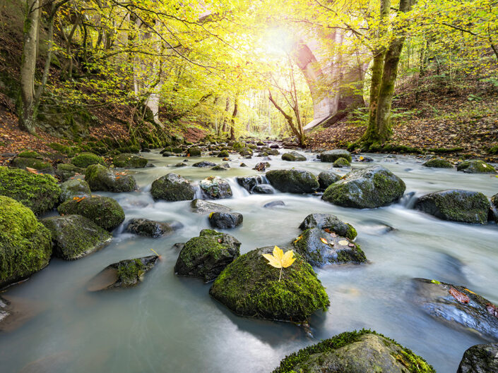 Aubachtal Langenaubach