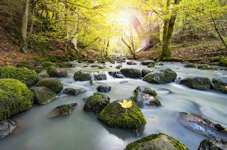 Aubachtal Langenaubach