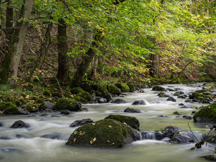 Aubachtal Langenaubach