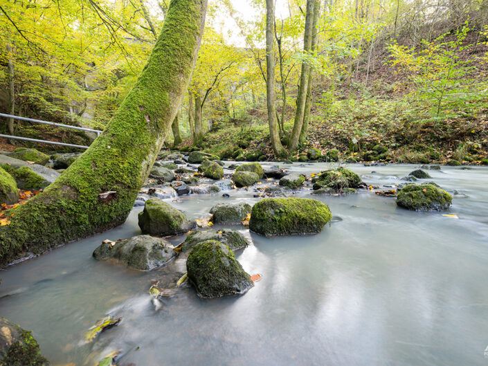 Aubachtal Langenaubach