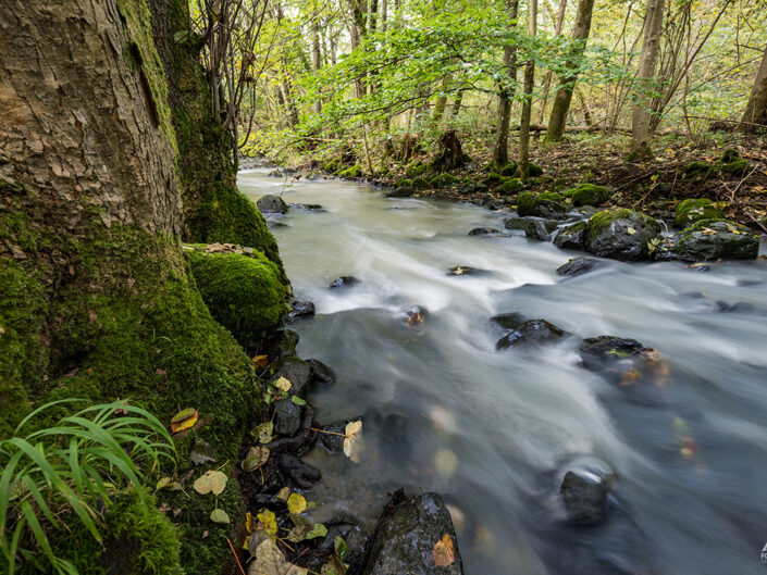 Aubachtal Langenaubach