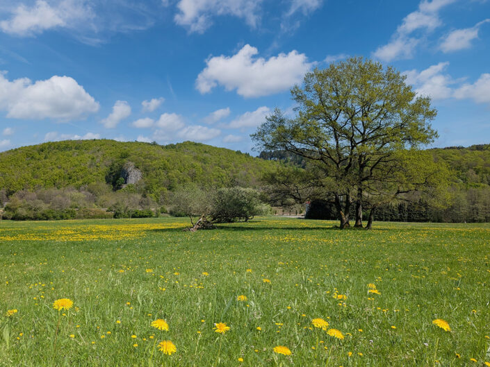 Aubachtal Langenaubach