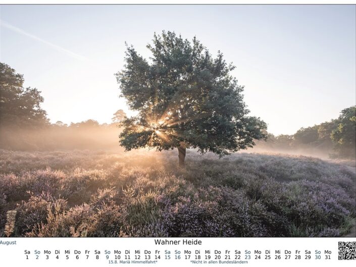 Kalender 2026 08