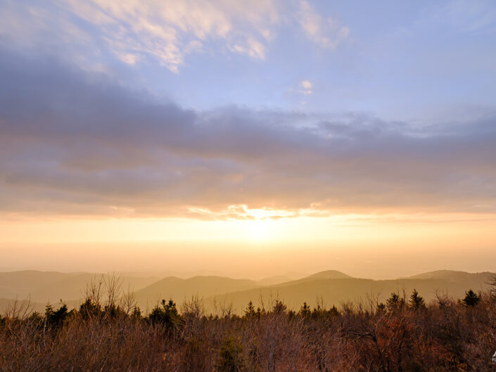 Hornisgrinde, Schwarzwald