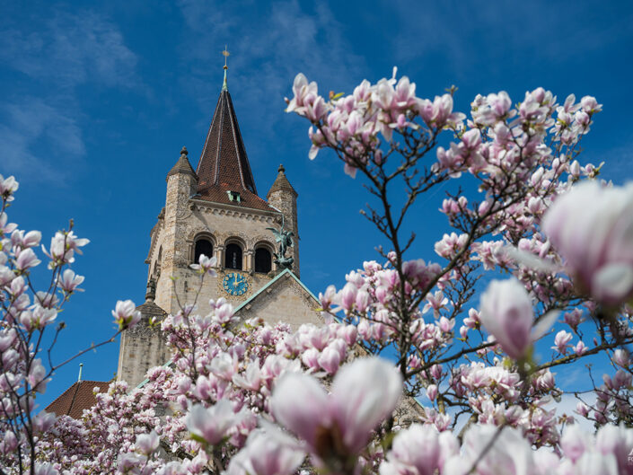 Pauluskirche Basel