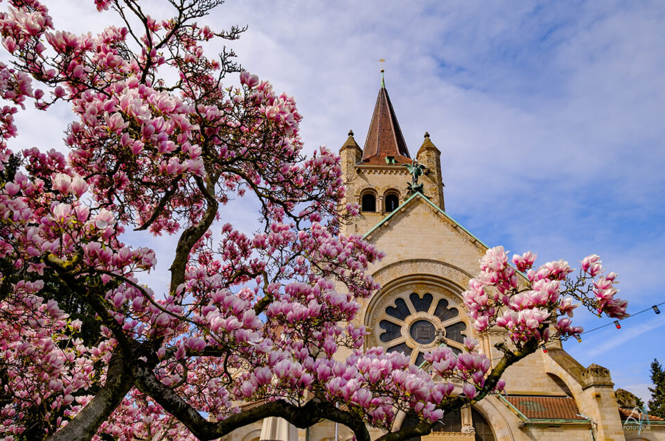 Pauluskirche Basel