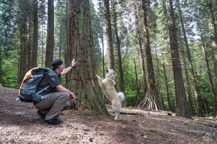 Wiedt Strassenh Rengsdorf Melsbach 14