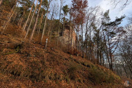 Pixel 8 Pro|1/800 sec|f/1.9|ISO40|16.12,10:29|2.2 mm| Wachtfels Obersteinbach